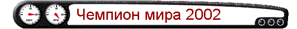 Чемпион мира 2002